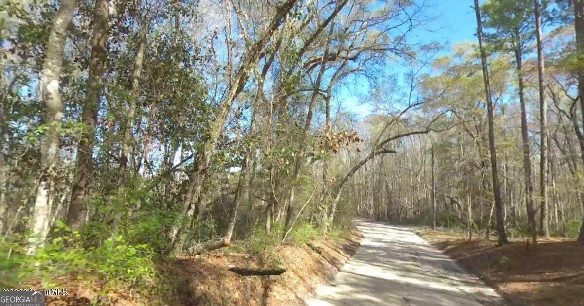 75+/- Acres Lewis Landing Property Photo 6
