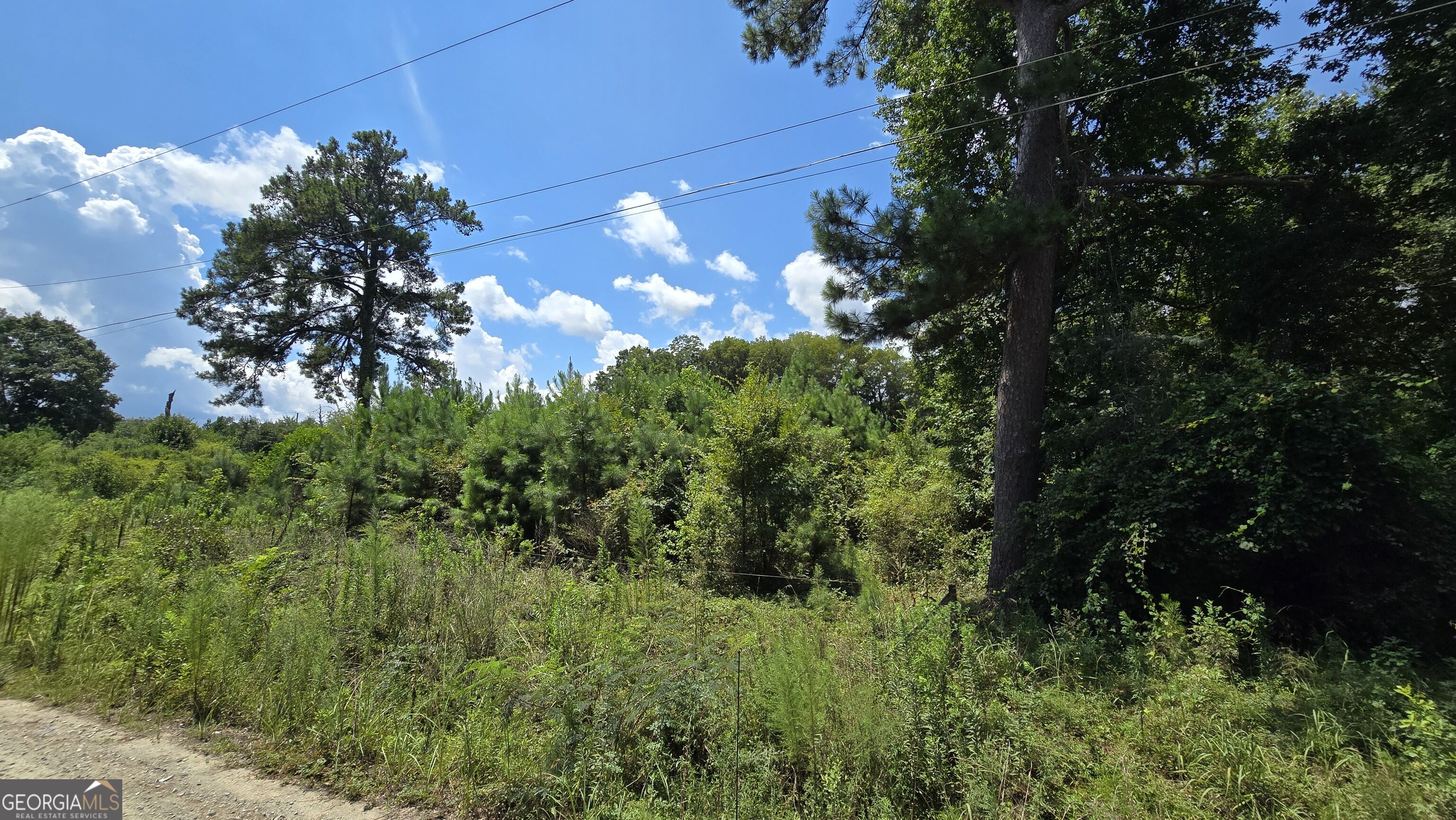 7161 Molton Road Property Photo 1