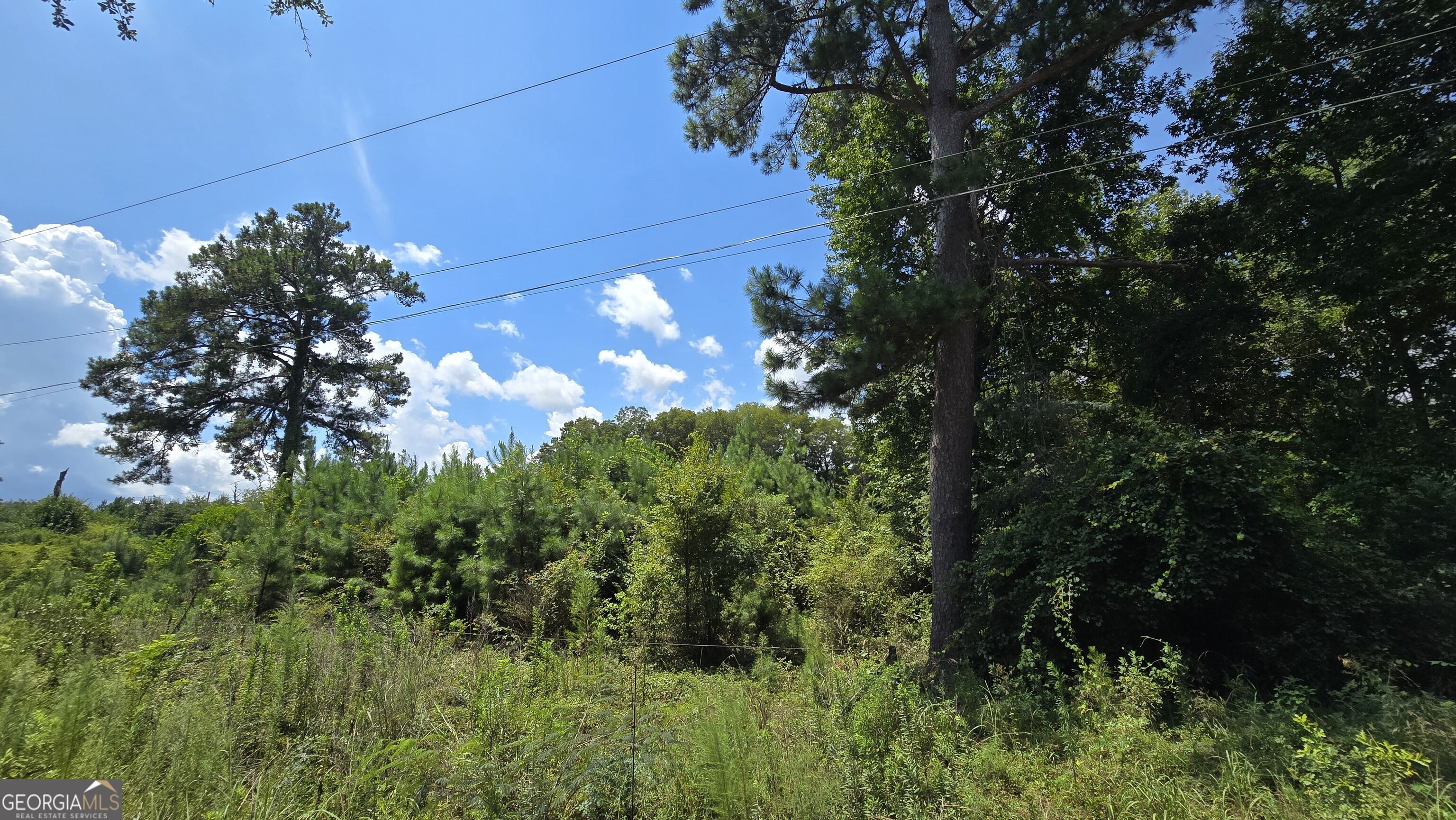 7161 Molton Road Property Photo 2