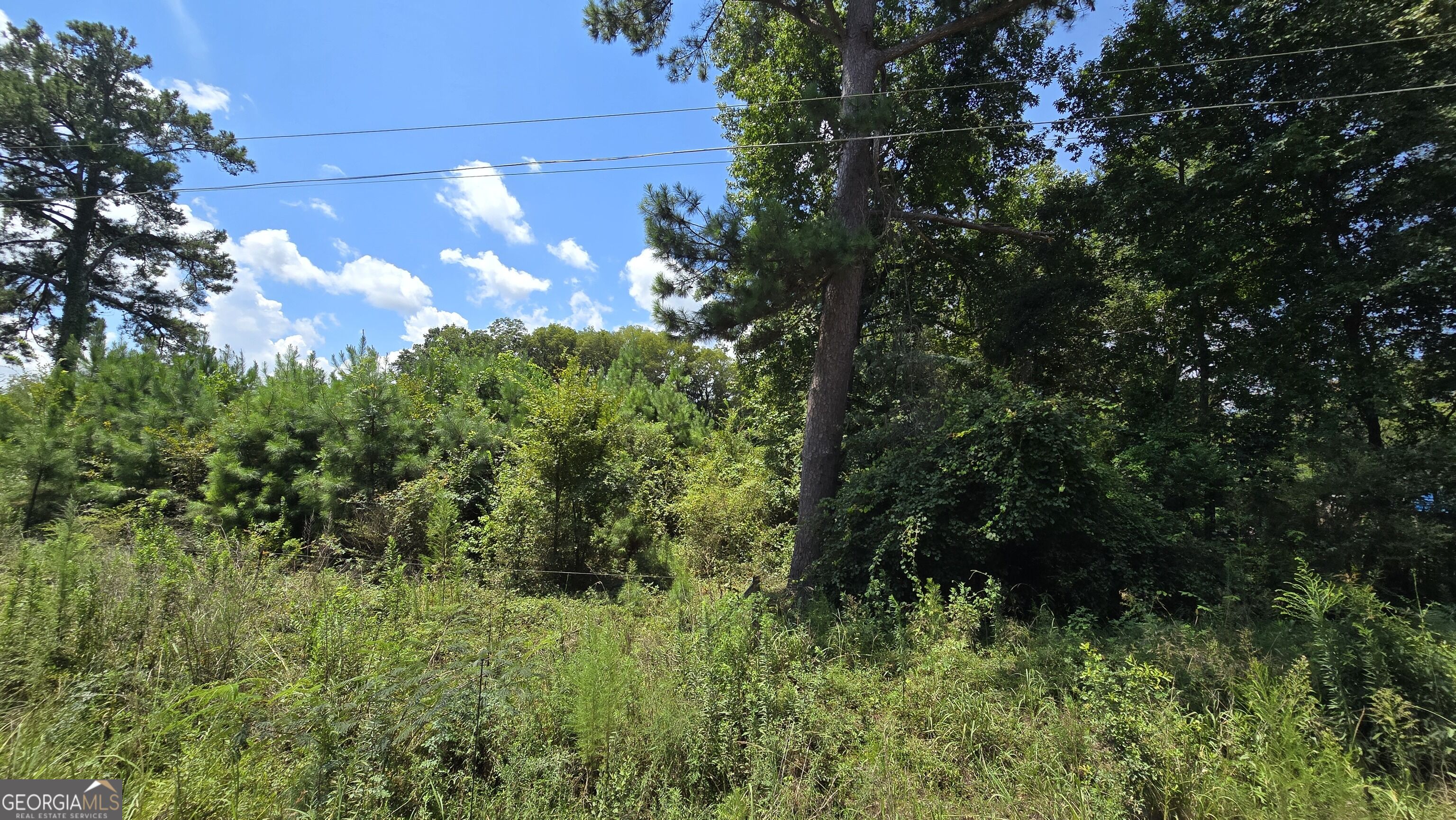 7161 Molton Road Property Photo 3