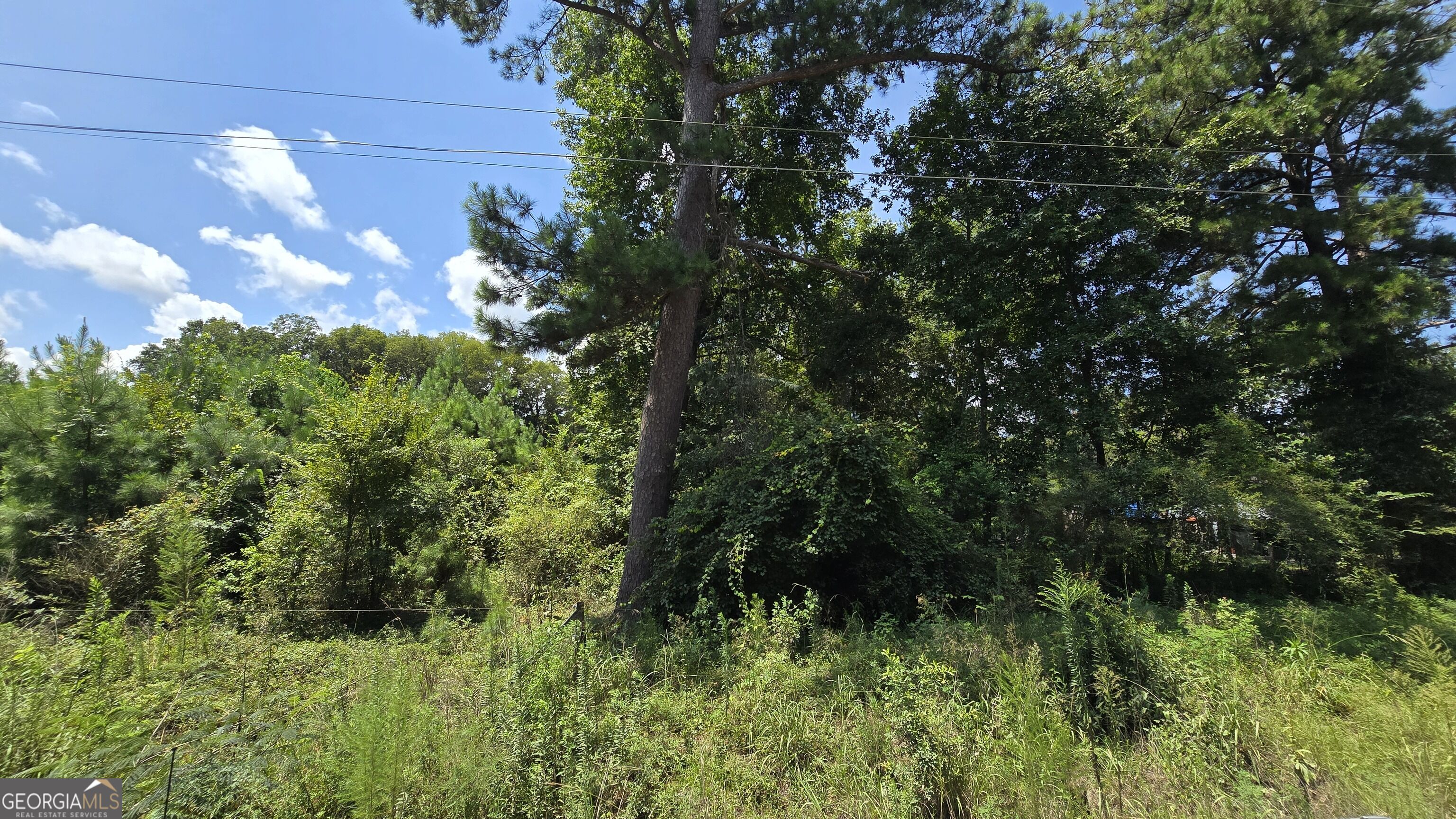 7161 Molton Road Property Photo 4