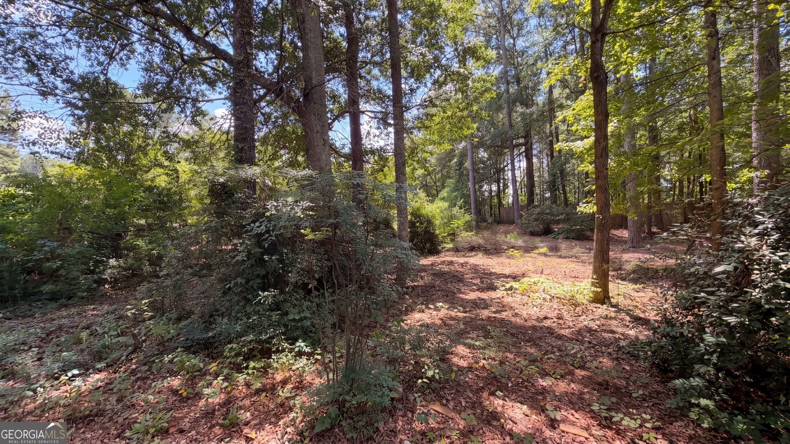 115 Emerald Lane Property Photo 29