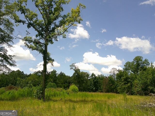 0 Highway 221 S Property Photo 1
