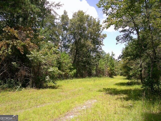 0 Highway 221 S Property Photo 3