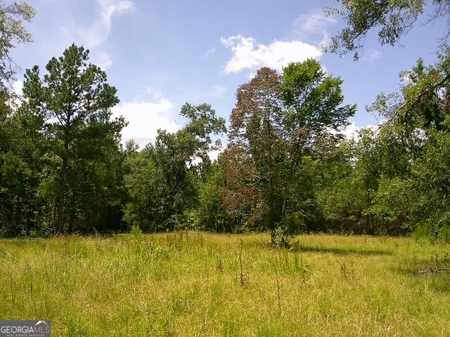 0 Highway 221 S Property Photo 7
