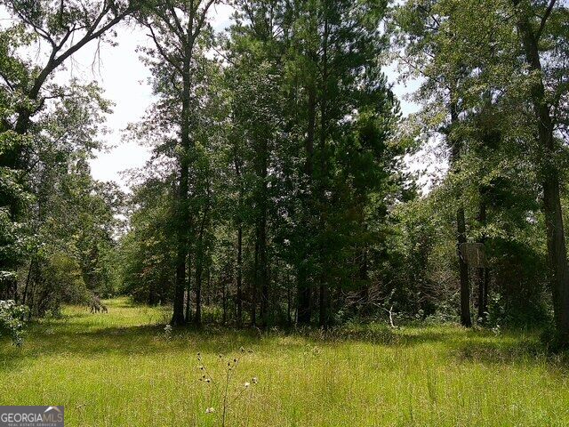 0 Highway 221 S Property Photo 8