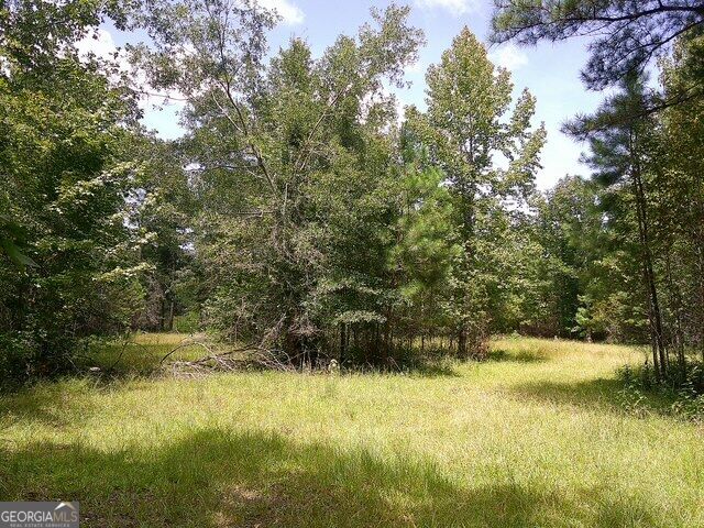 0 Highway 221 S Property Photo 9