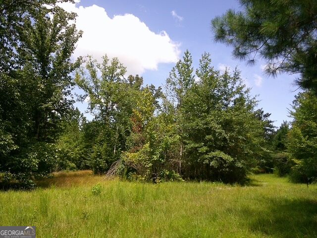 0 Highway 221 S Property Photo 10