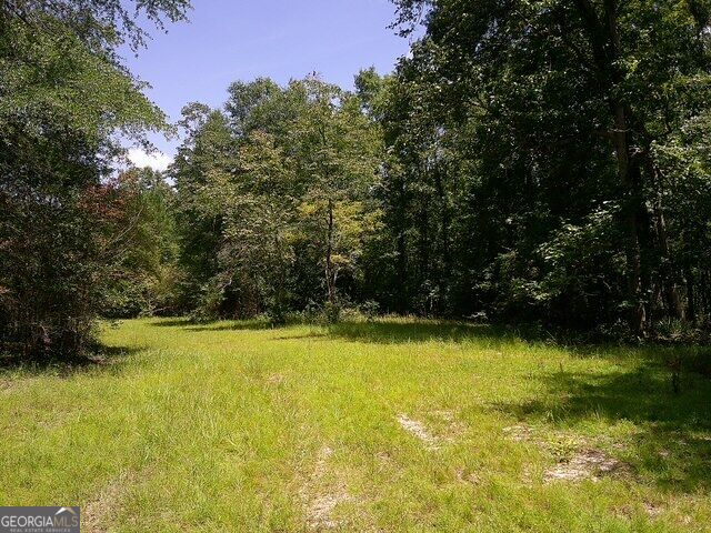 0 Highway 221 S Property Photo 12