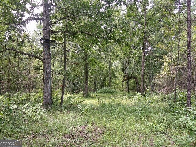 0 Highway 221 S Property Photo 13