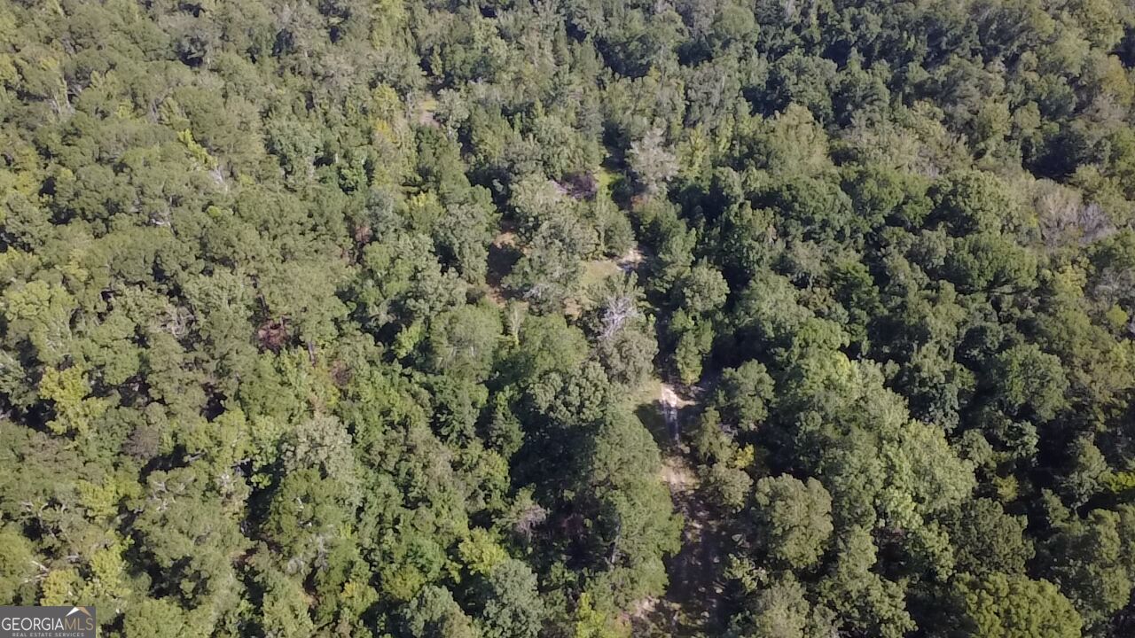 0 Highway 221 S Property Photo 14