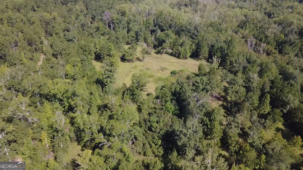0 Highway 221 S Property Photo 15