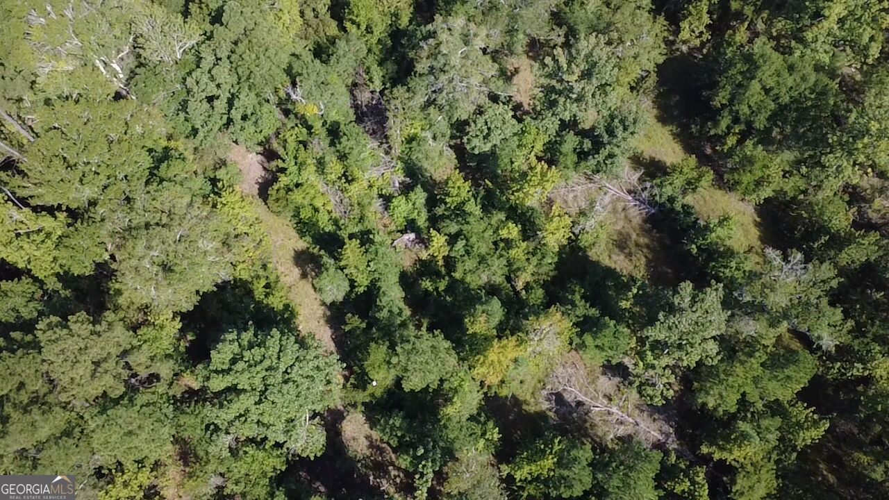 0 Highway 221 S Property Photo 16