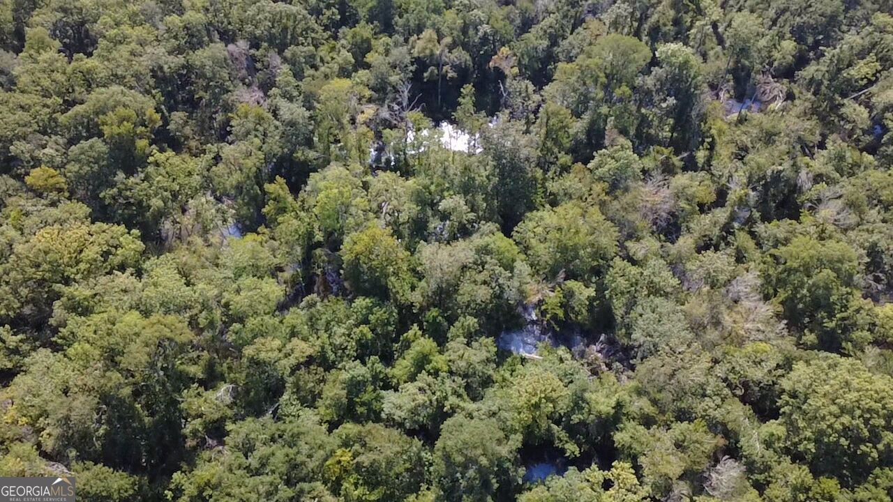0 Highway 221 S Property Photo 17
