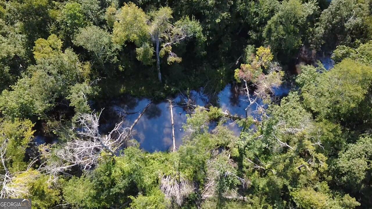 0 Highway 221 S Property Photo 18