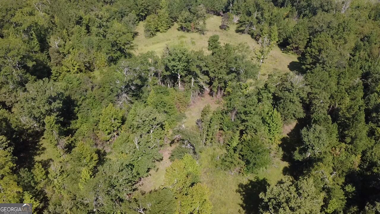 0 Highway 221 S Property Photo 20
