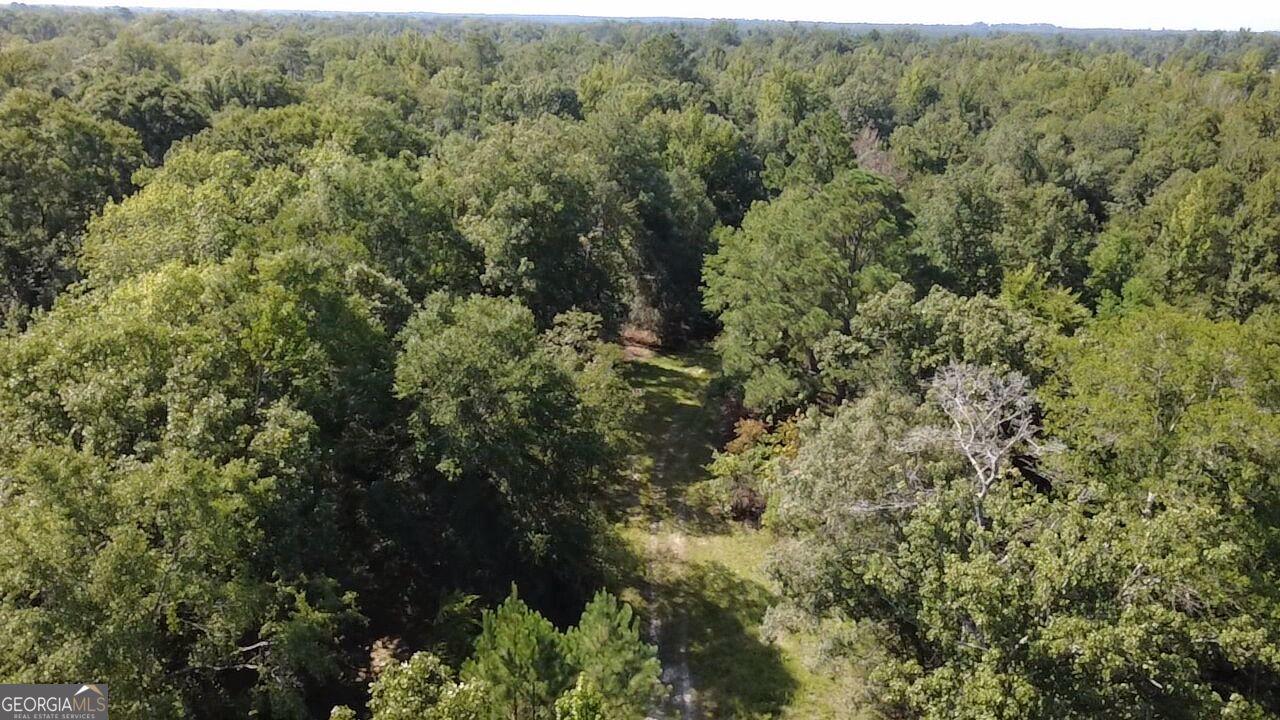 0 Highway 221 S Property Photo 21