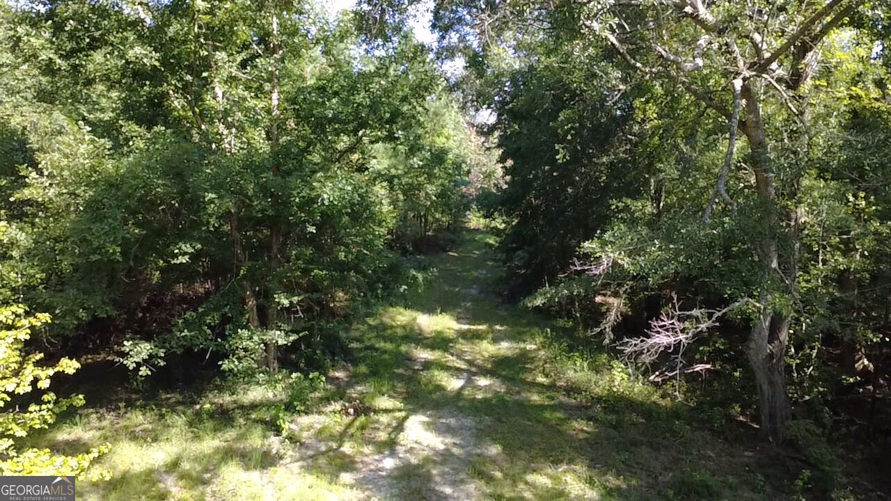 0 Highway 221 S Property Photo 22