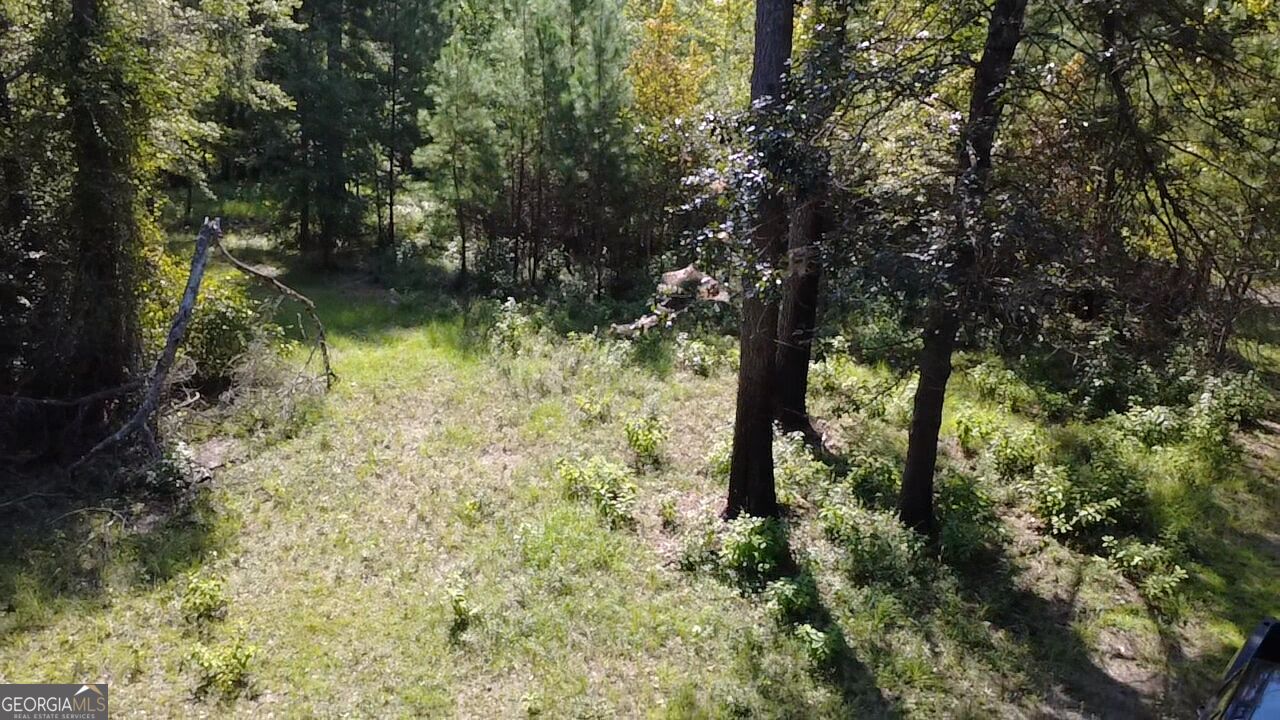 0 Highway 221 S Property Photo 23