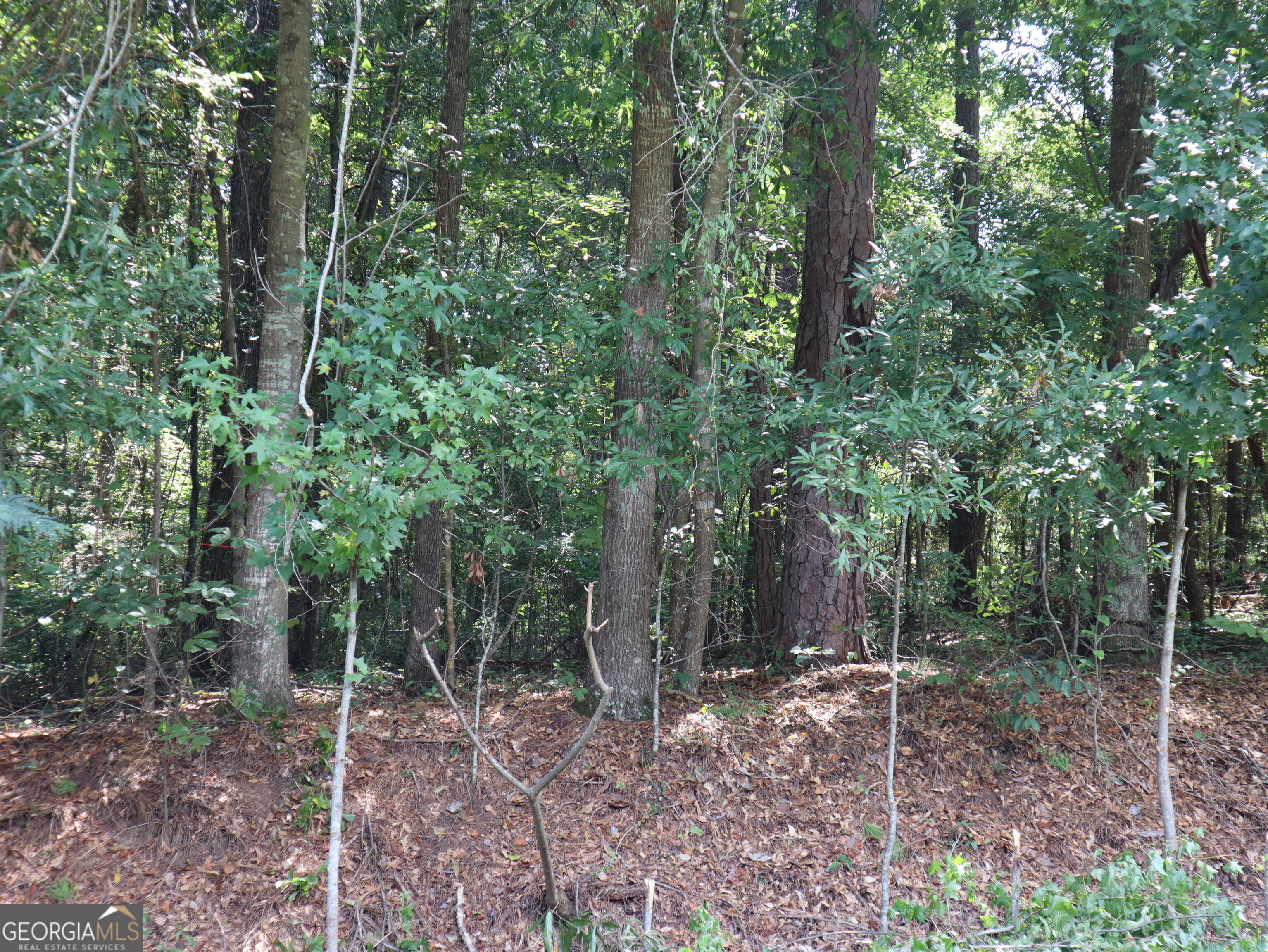 5514 & 5524 Bankston Lake Road Property Photo 1