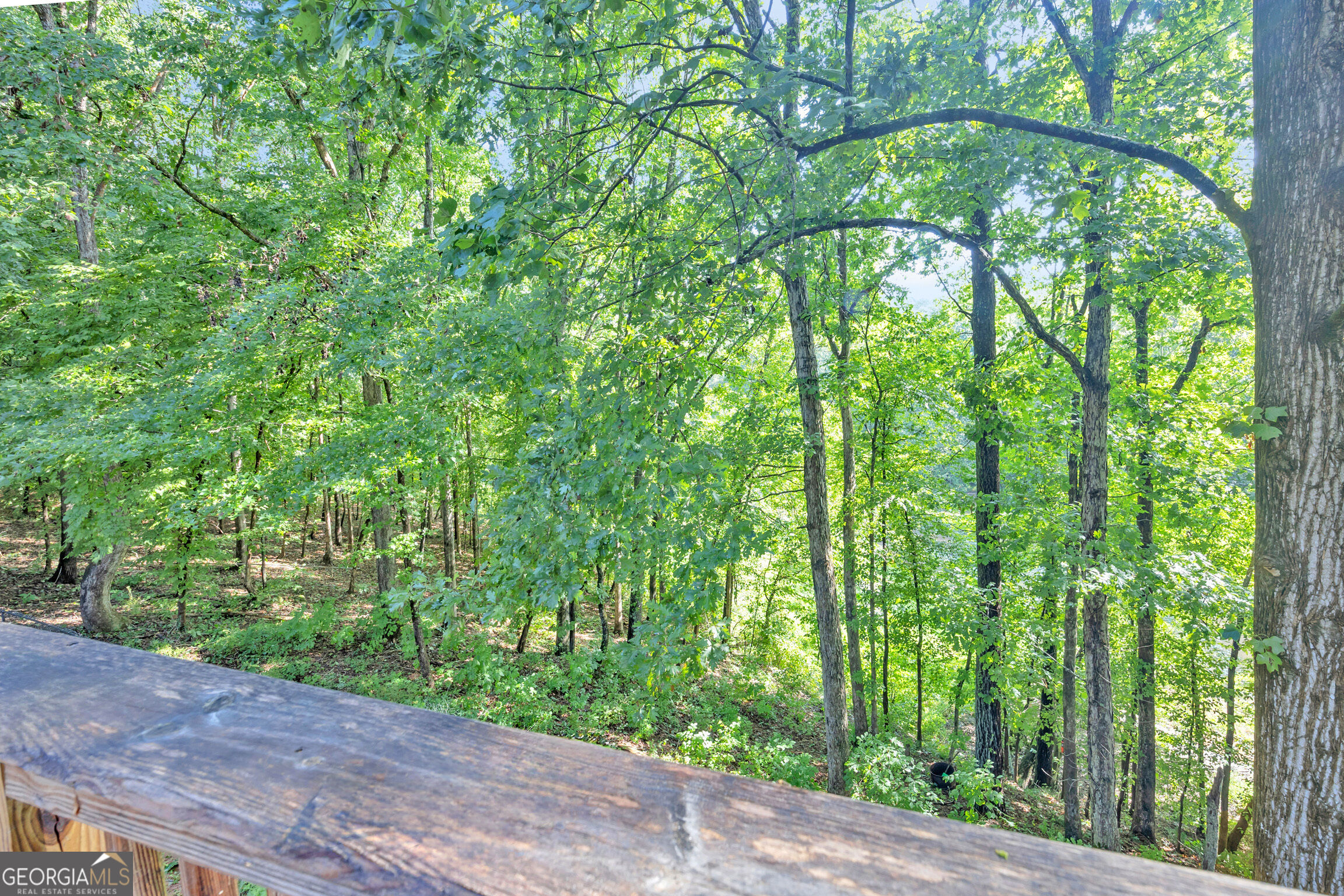 1770 River Bluff Road Property Photo 51