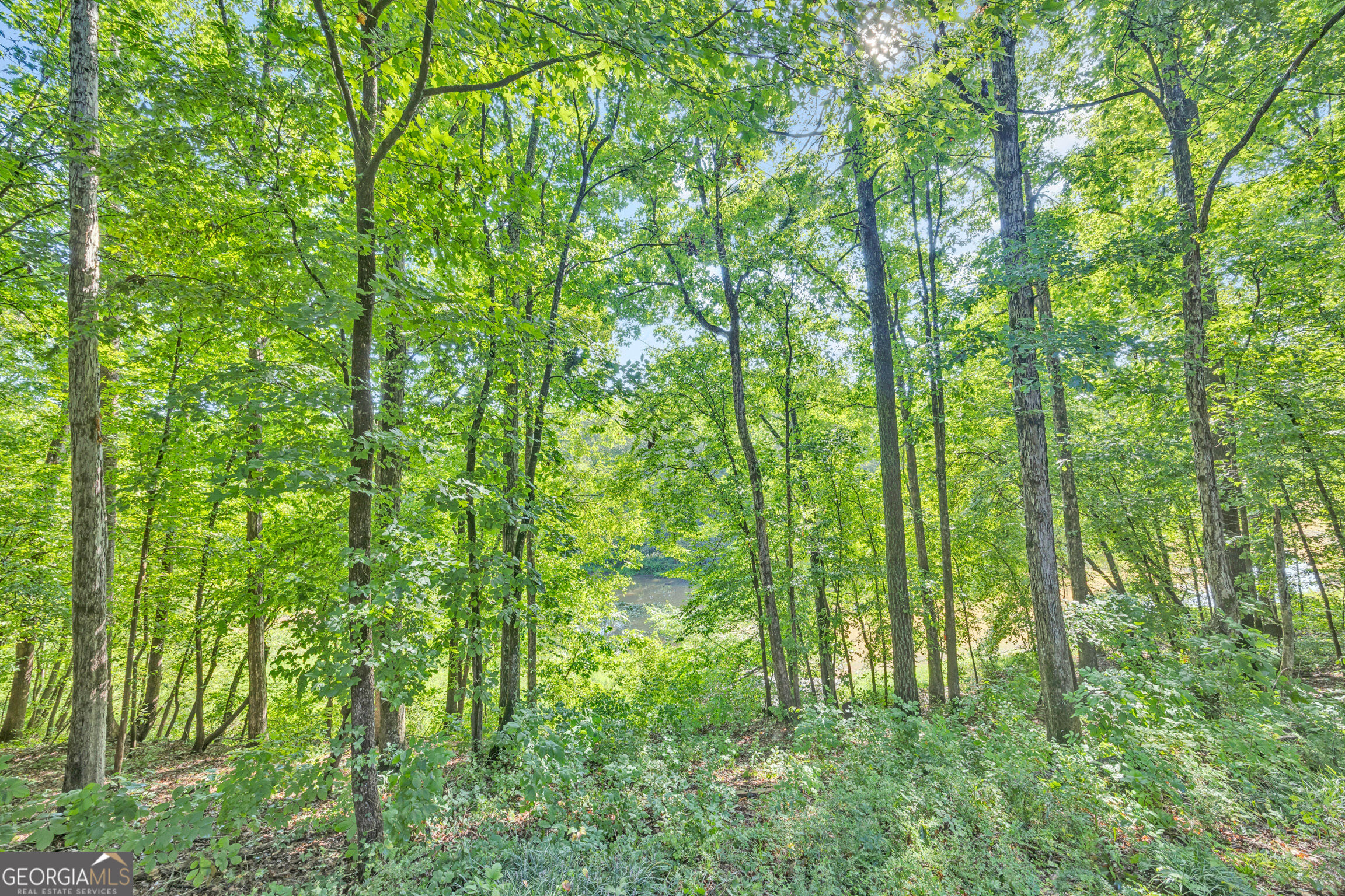 1770 River Bluff Road Property Photo 56