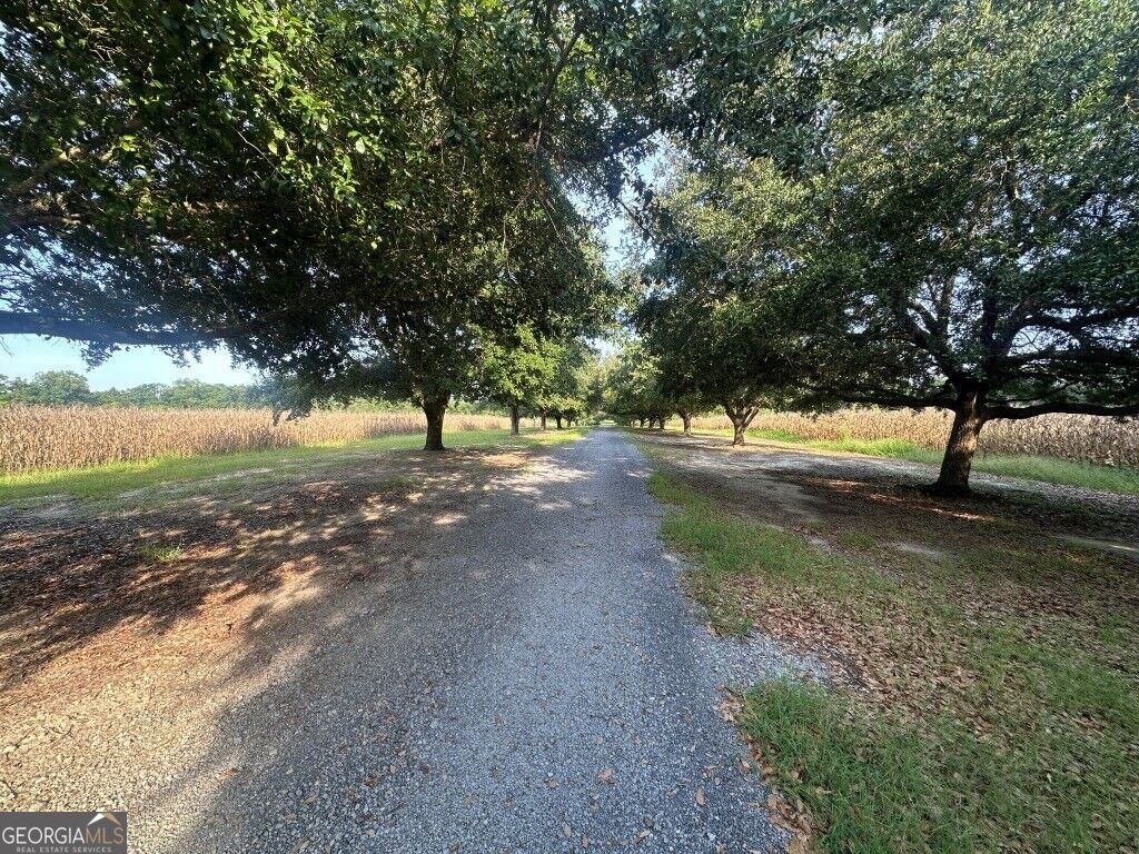 1808 Wire Road Property Photo 3