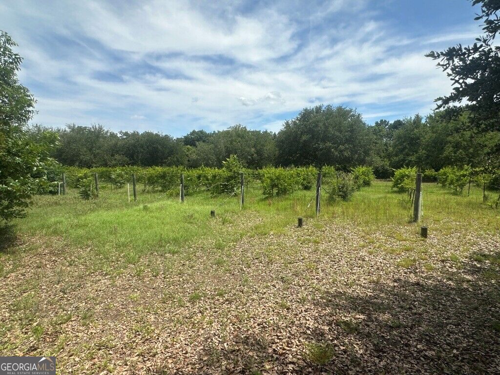 1808 Wire Road Property Photo 28