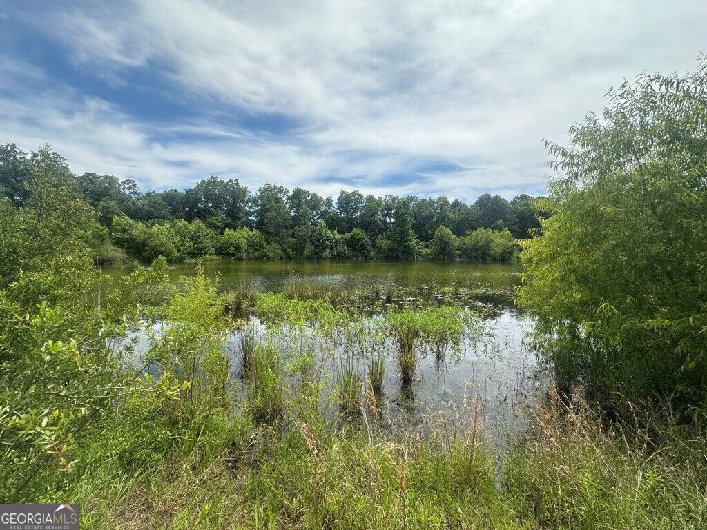 1808 Wire Road Property Photo 34