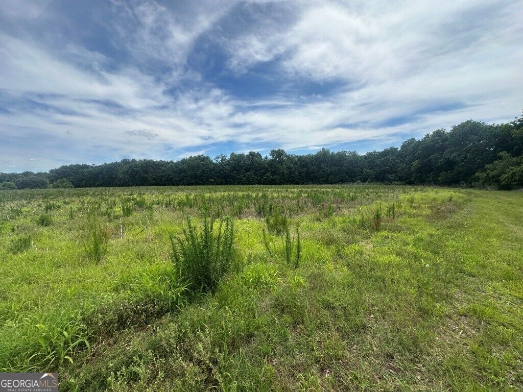 1808 Wire Road Property Photo 36