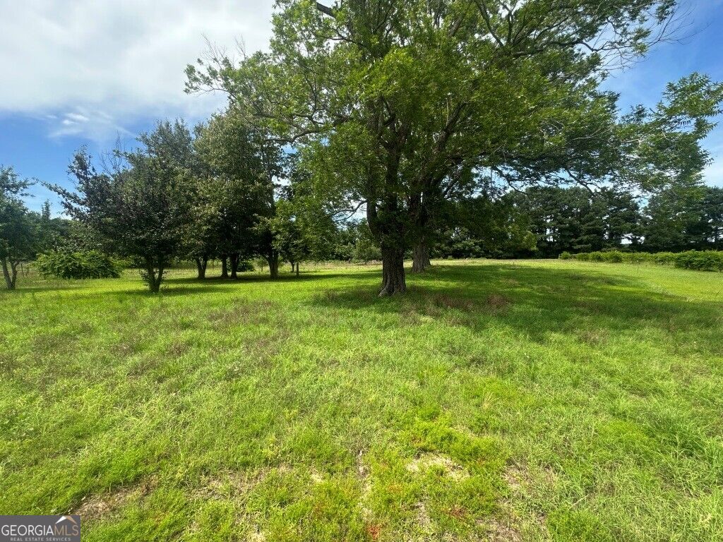 1808 Wire Road Property Photo 38