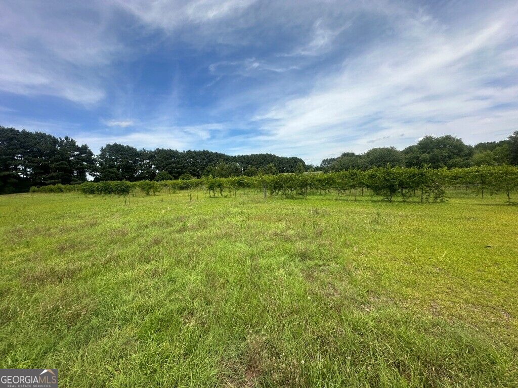 1808 Wire Road Property Photo 39
