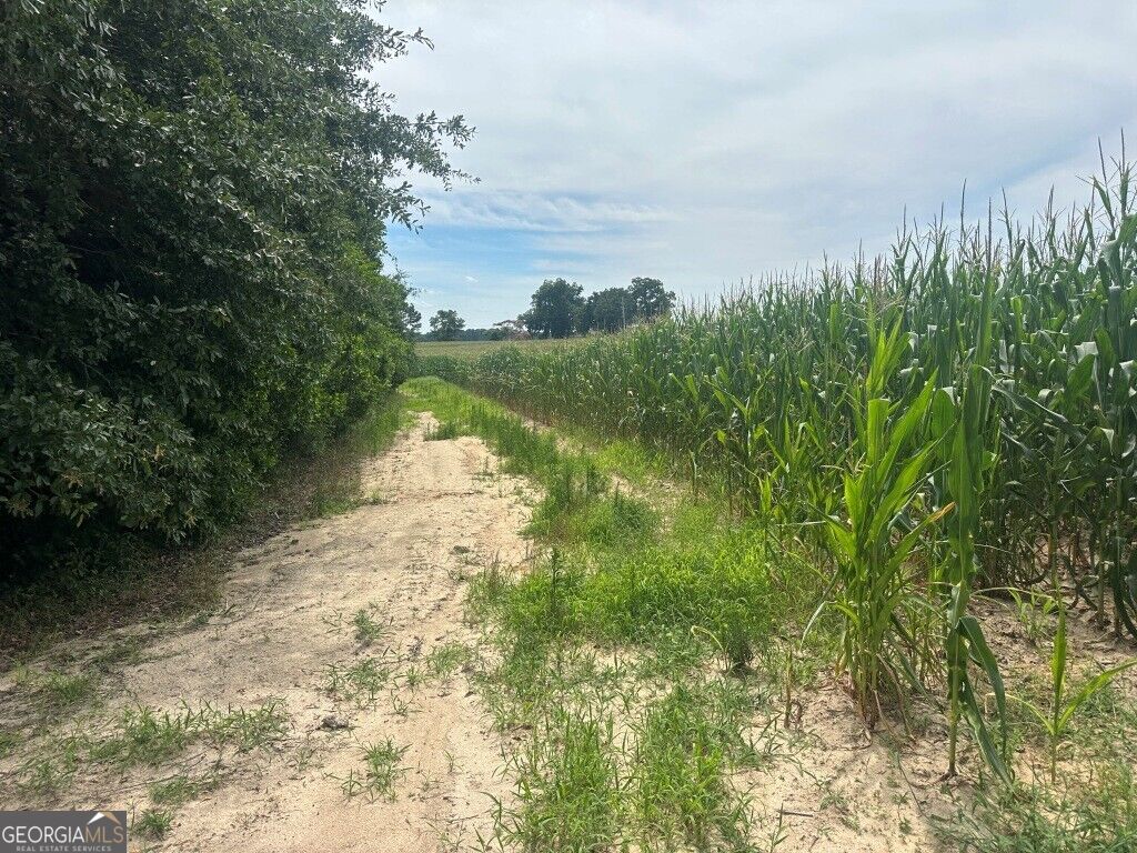 1808 Wire Road Property Photo 41