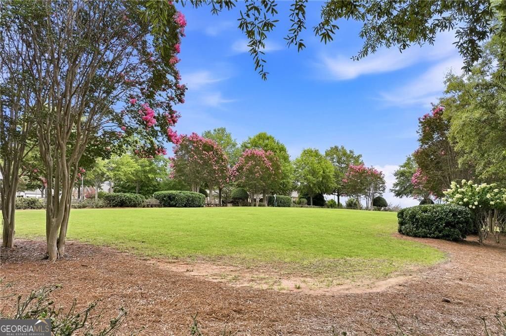 6756 Hedge Row Lane Property Photo 8