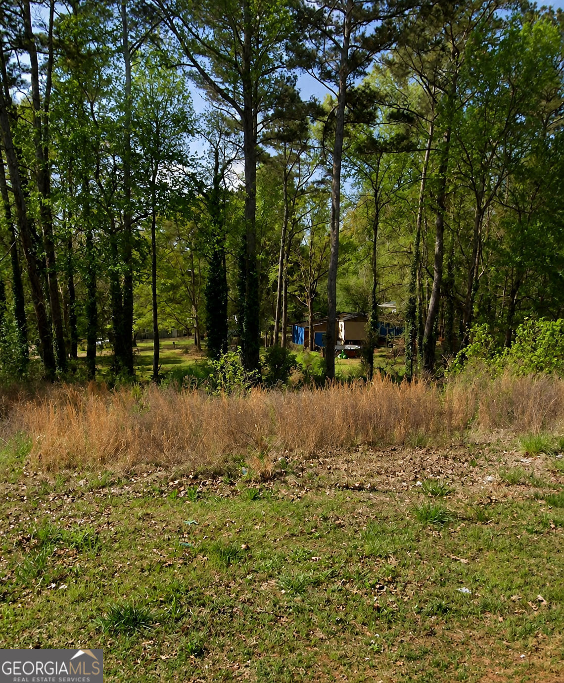 1377 Poplar Street Property Photo 3