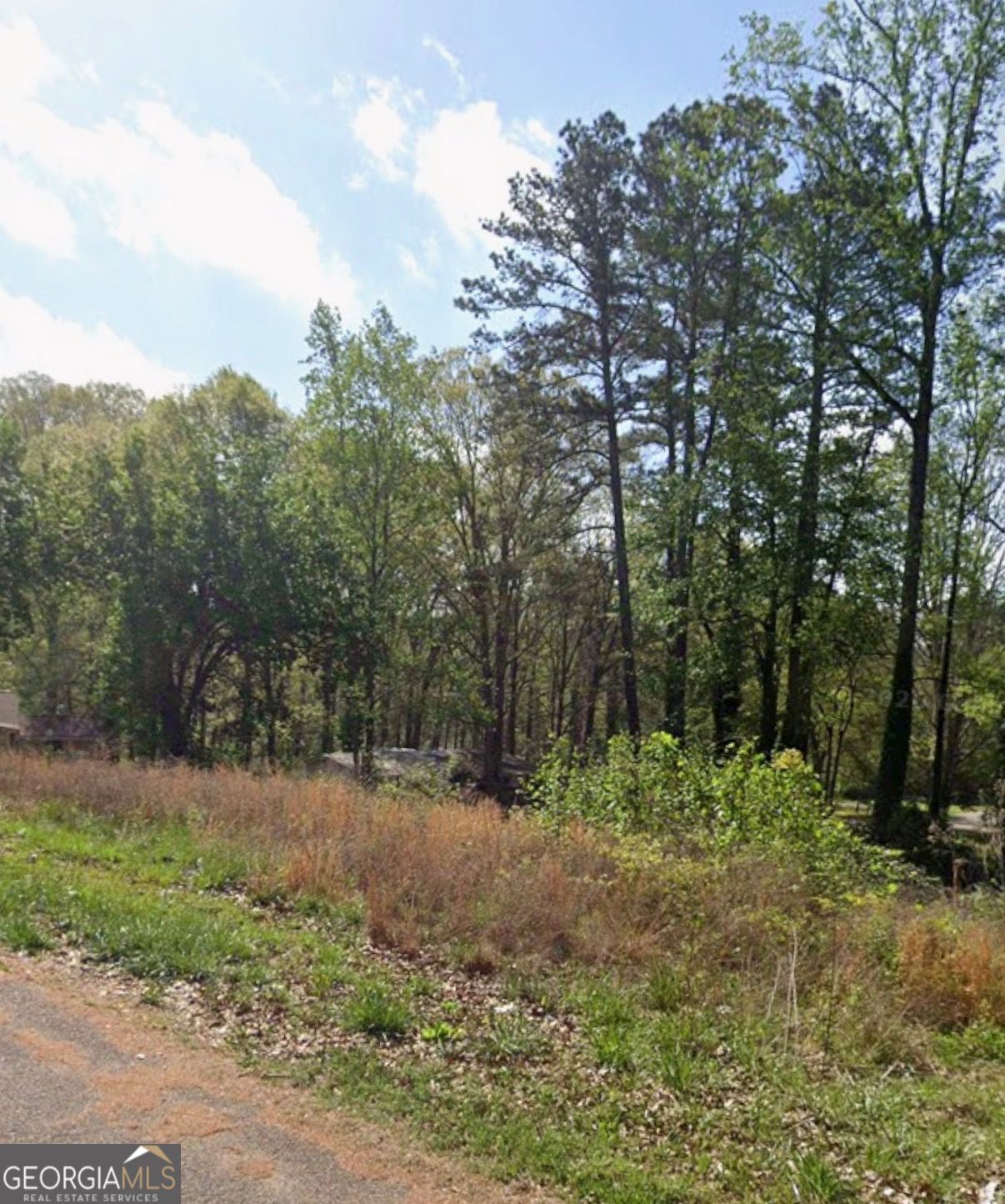 1377 Poplar Street Property Photo 4