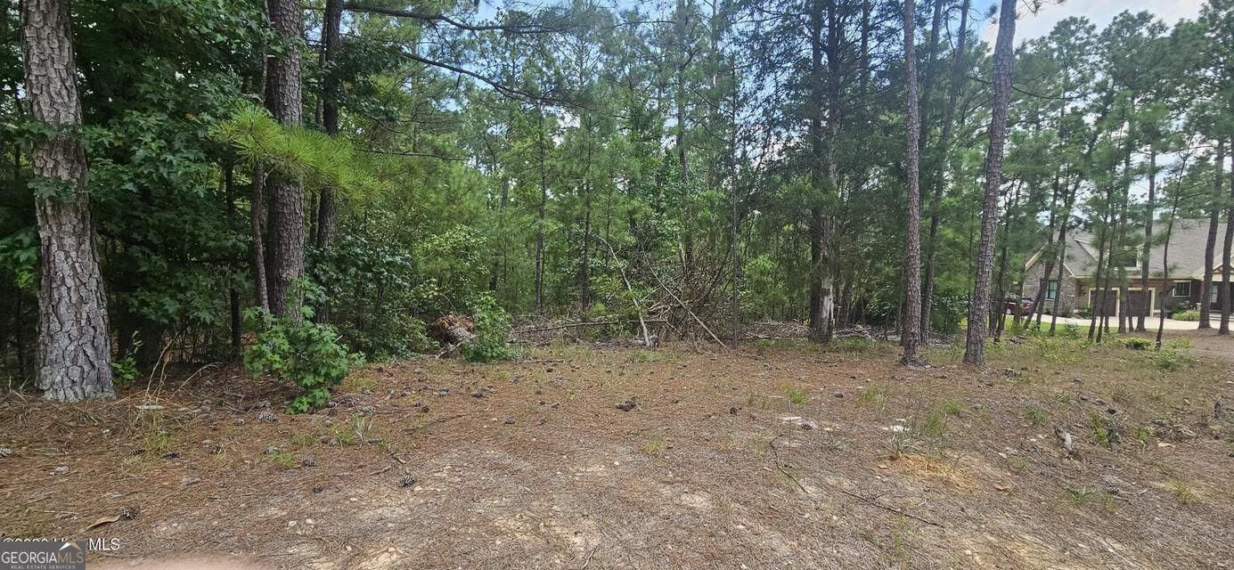 Lot 2 Amelia Drive Property Photo 1
