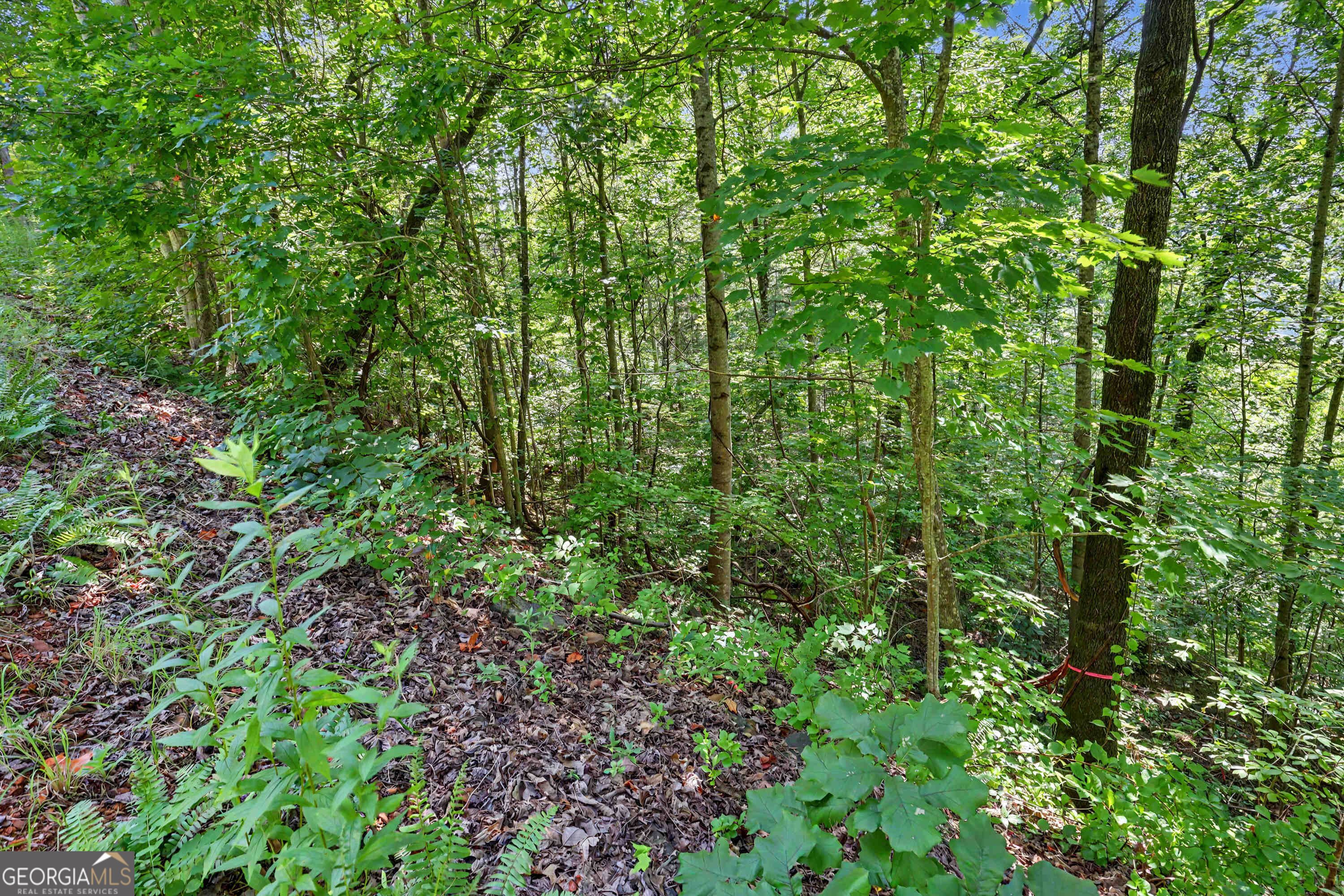 0 Waterfall Drive 5d Property Photo 4
