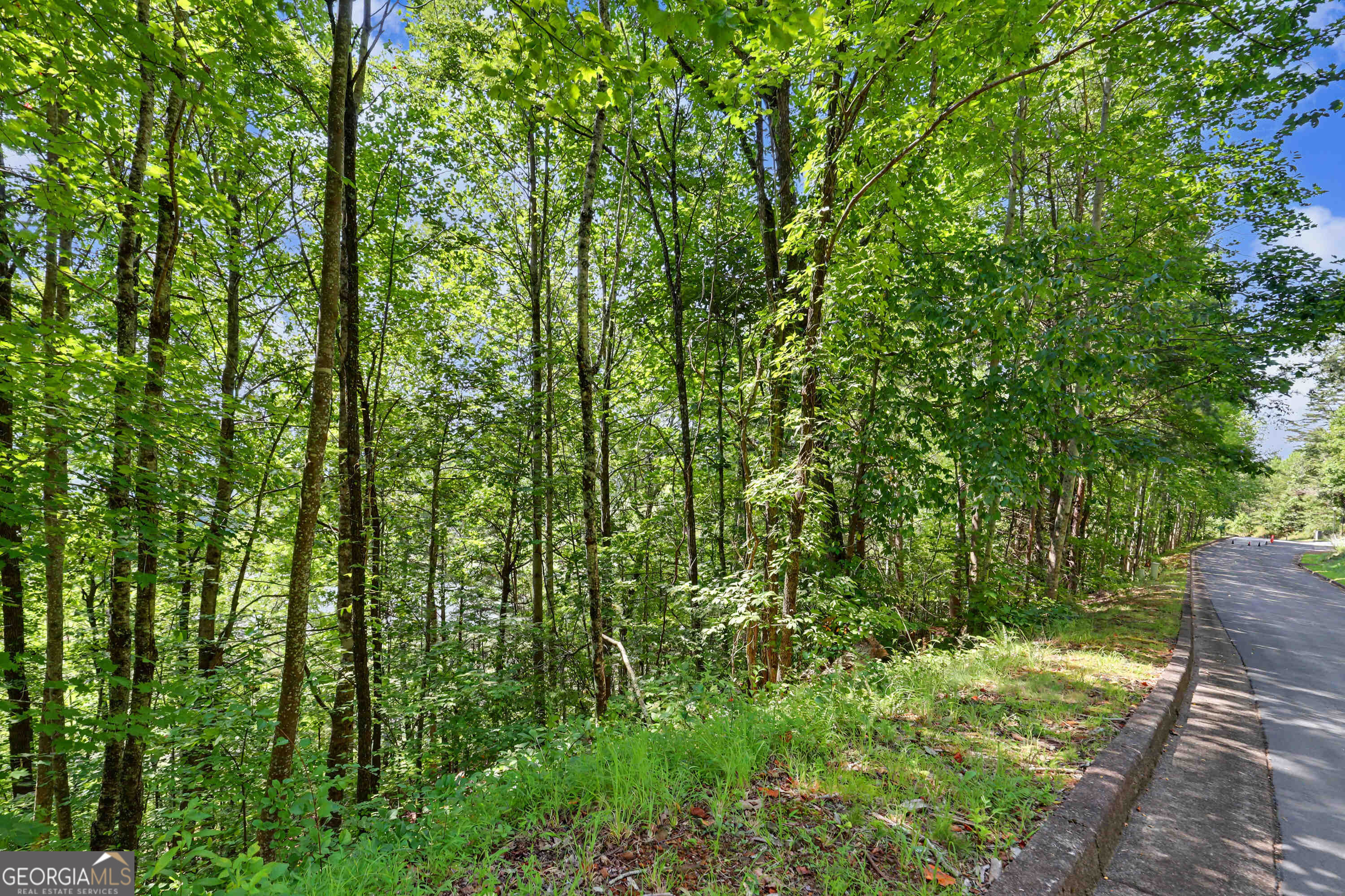 0 Waterfall Drive 5d Property Photo 6