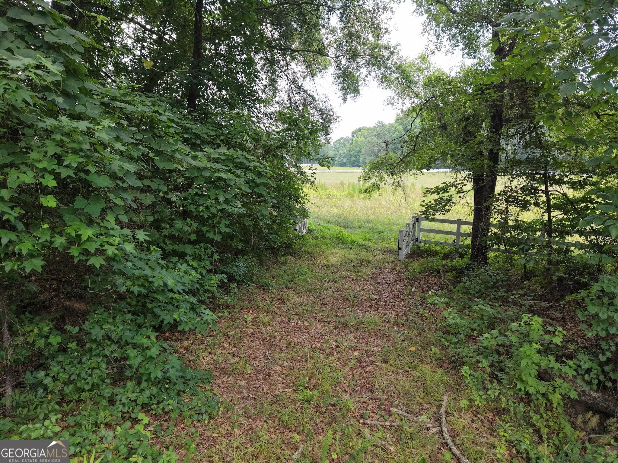 390 Edwards Road Property Photo 10