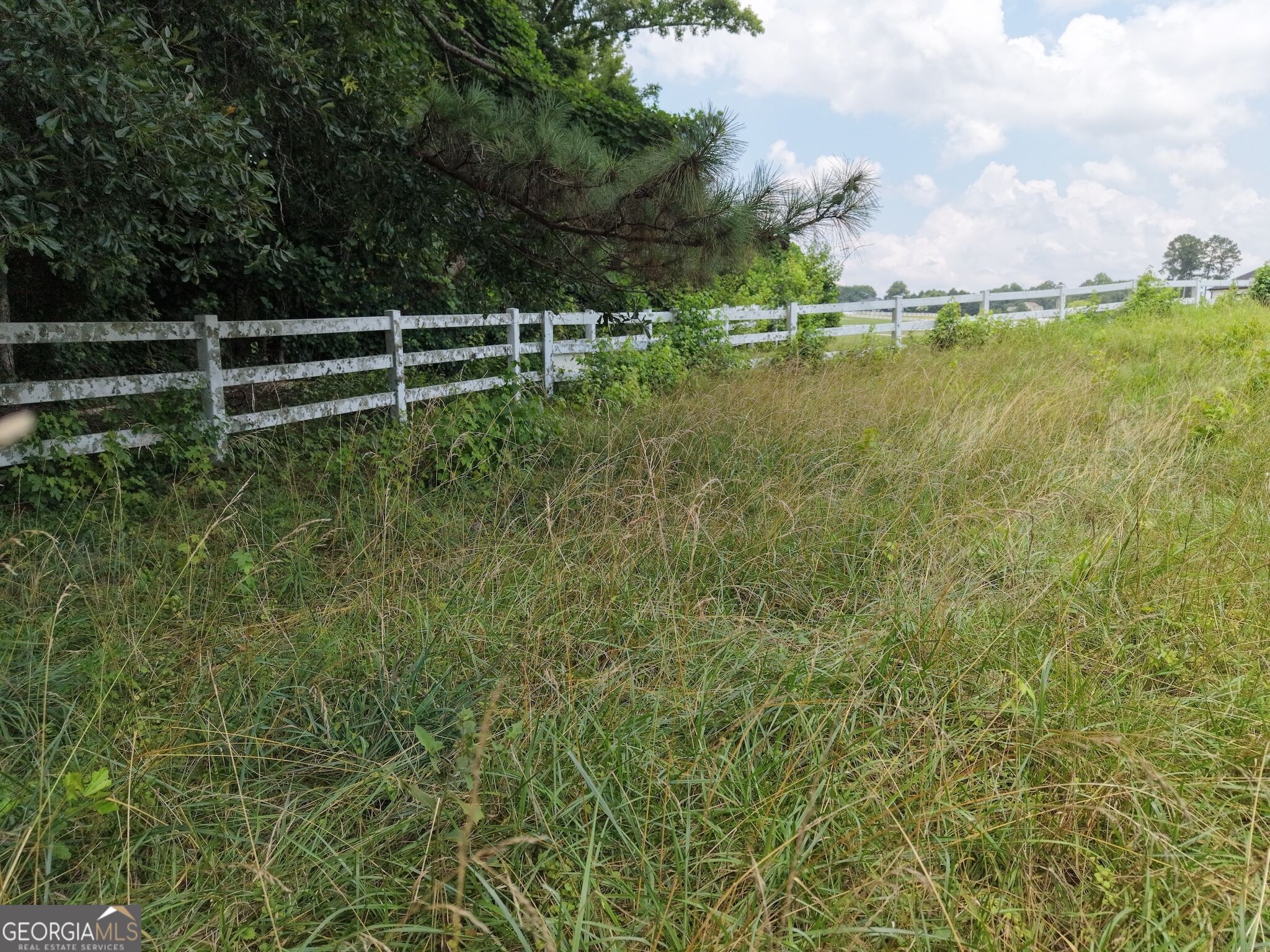 390 Edwards Road Property Photo 13