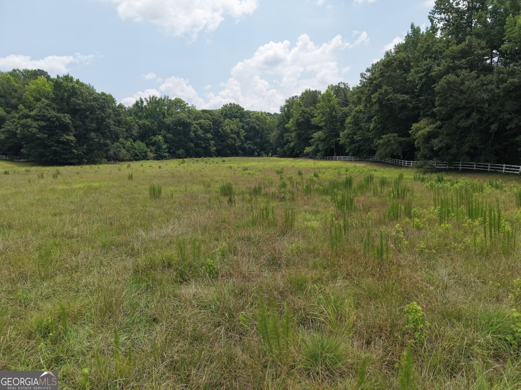 390 Edwards Road Property Photo 15