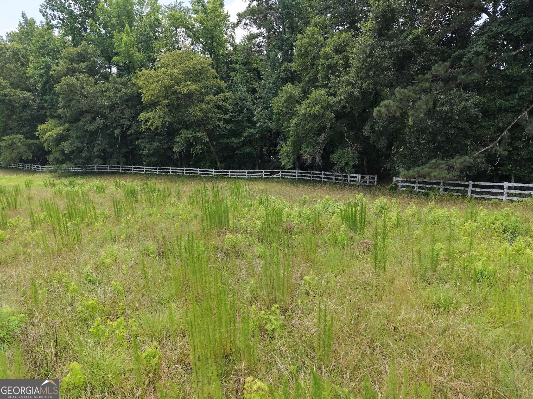 390 Edwards Road Property Photo 16