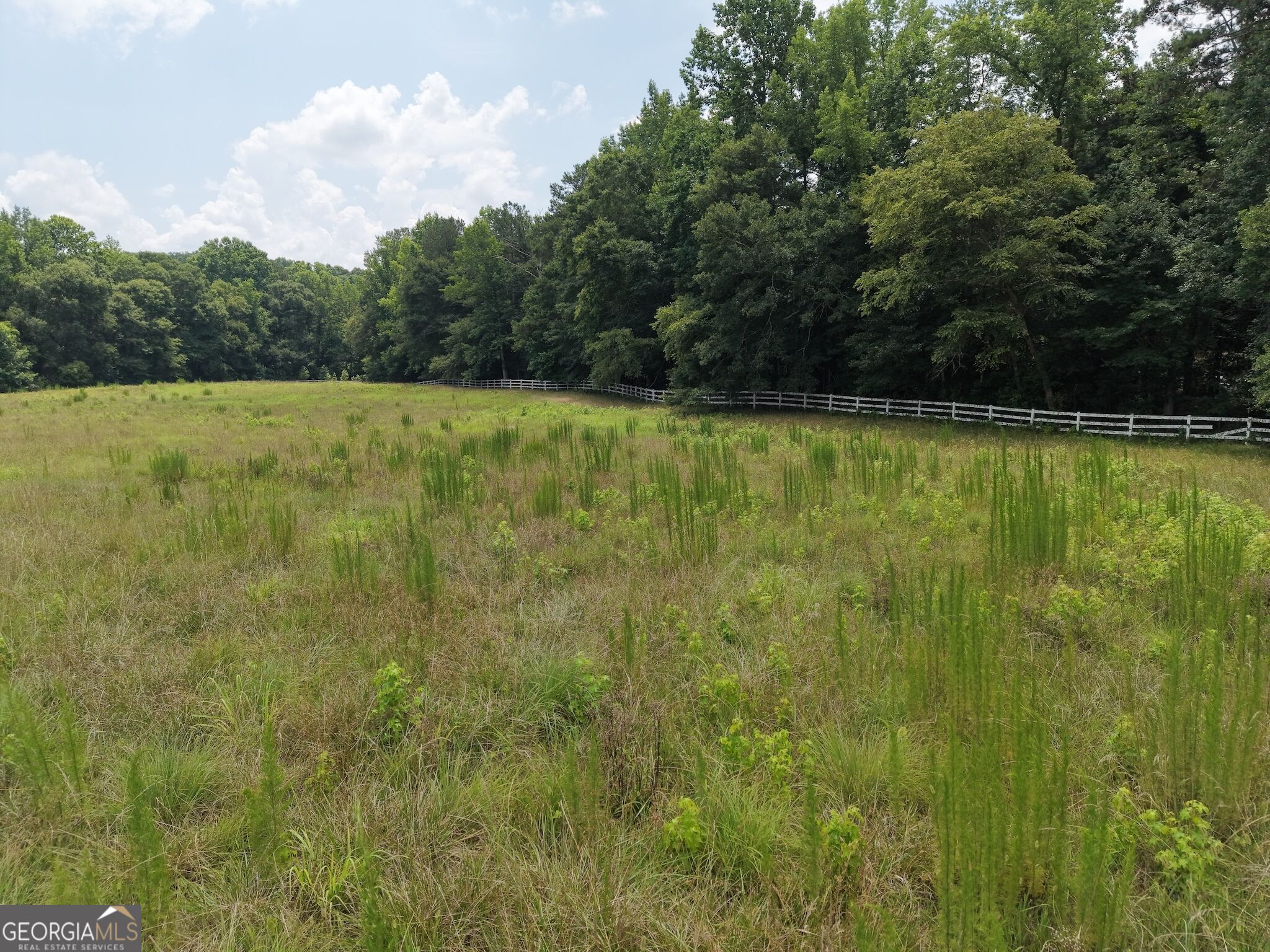 390 Edwards Road Property Photo 17