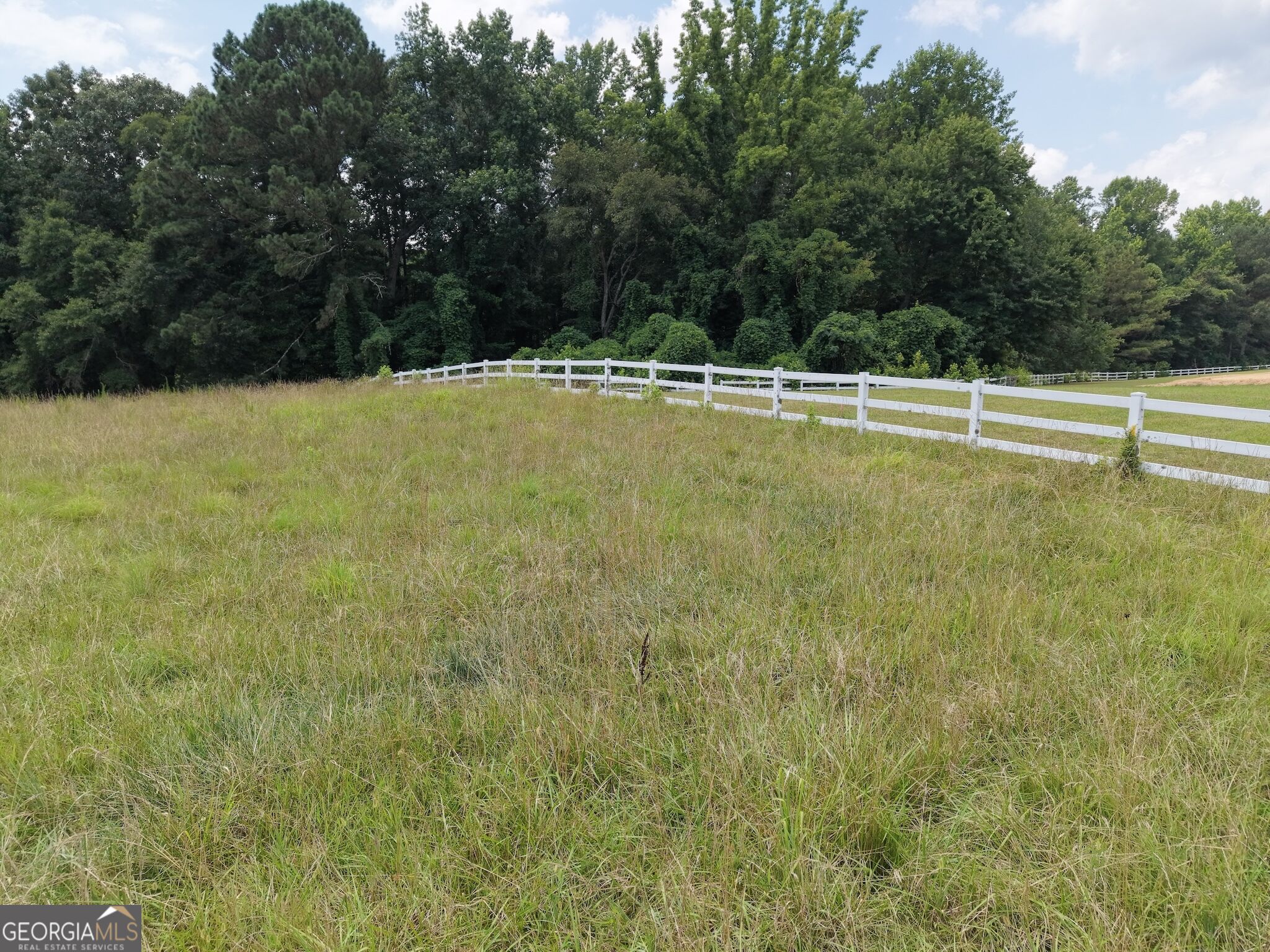 390 Edwards Road Property Photo 24