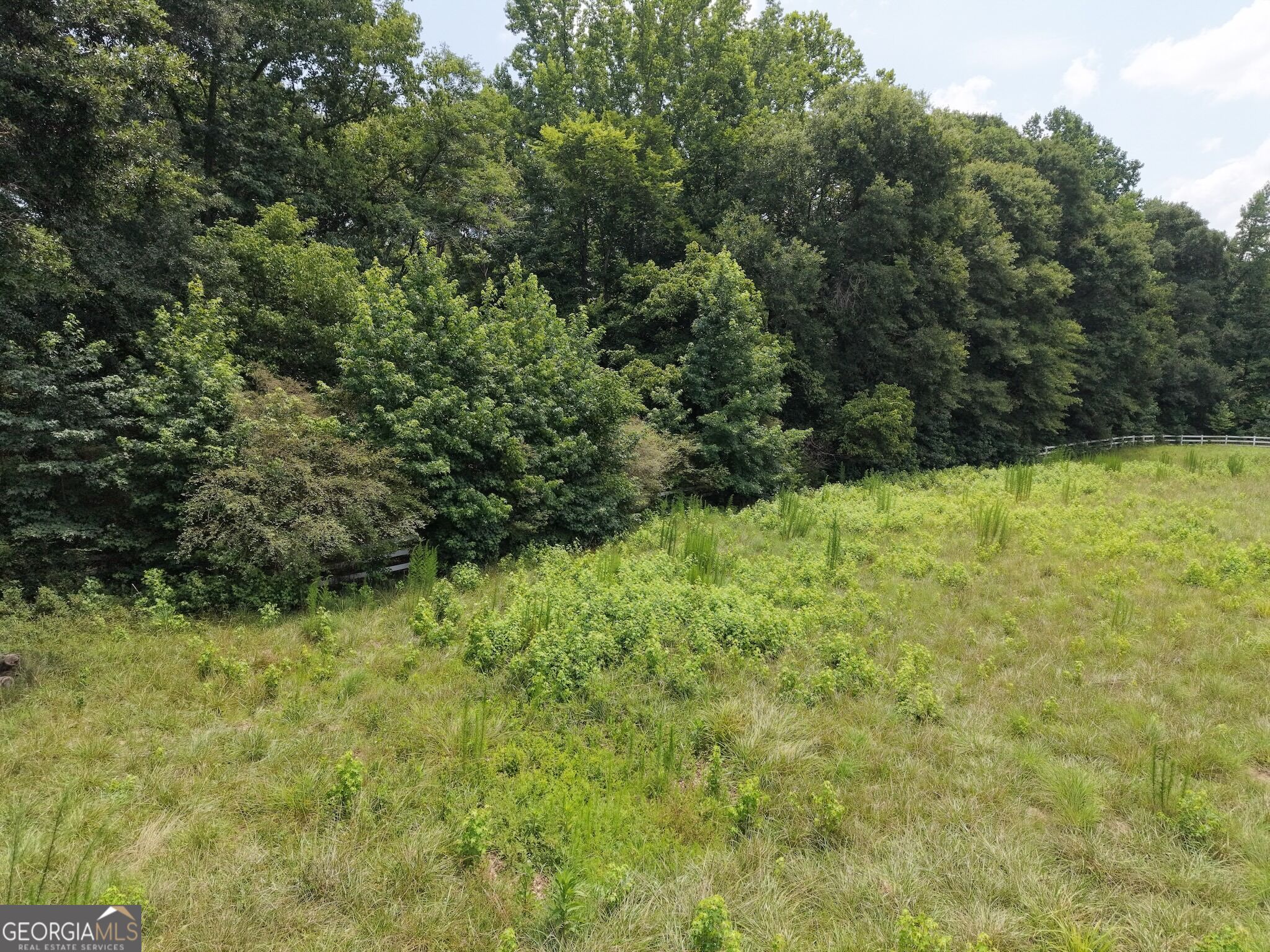 390 Edwards Road Property Photo 30