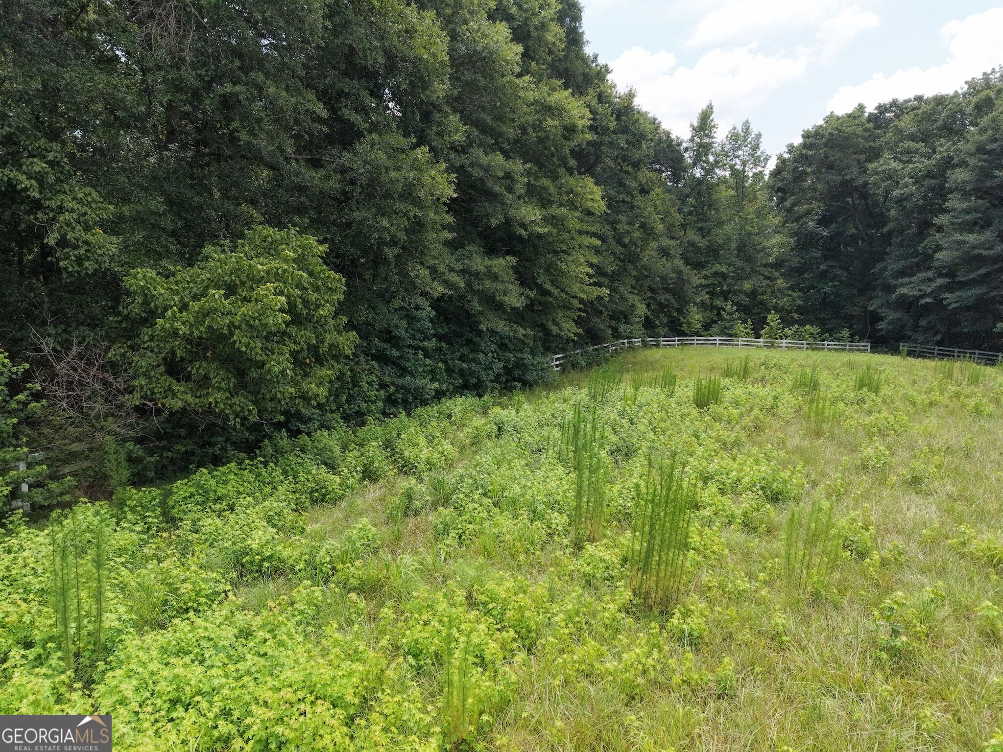 390 Edwards Road Property Photo 31