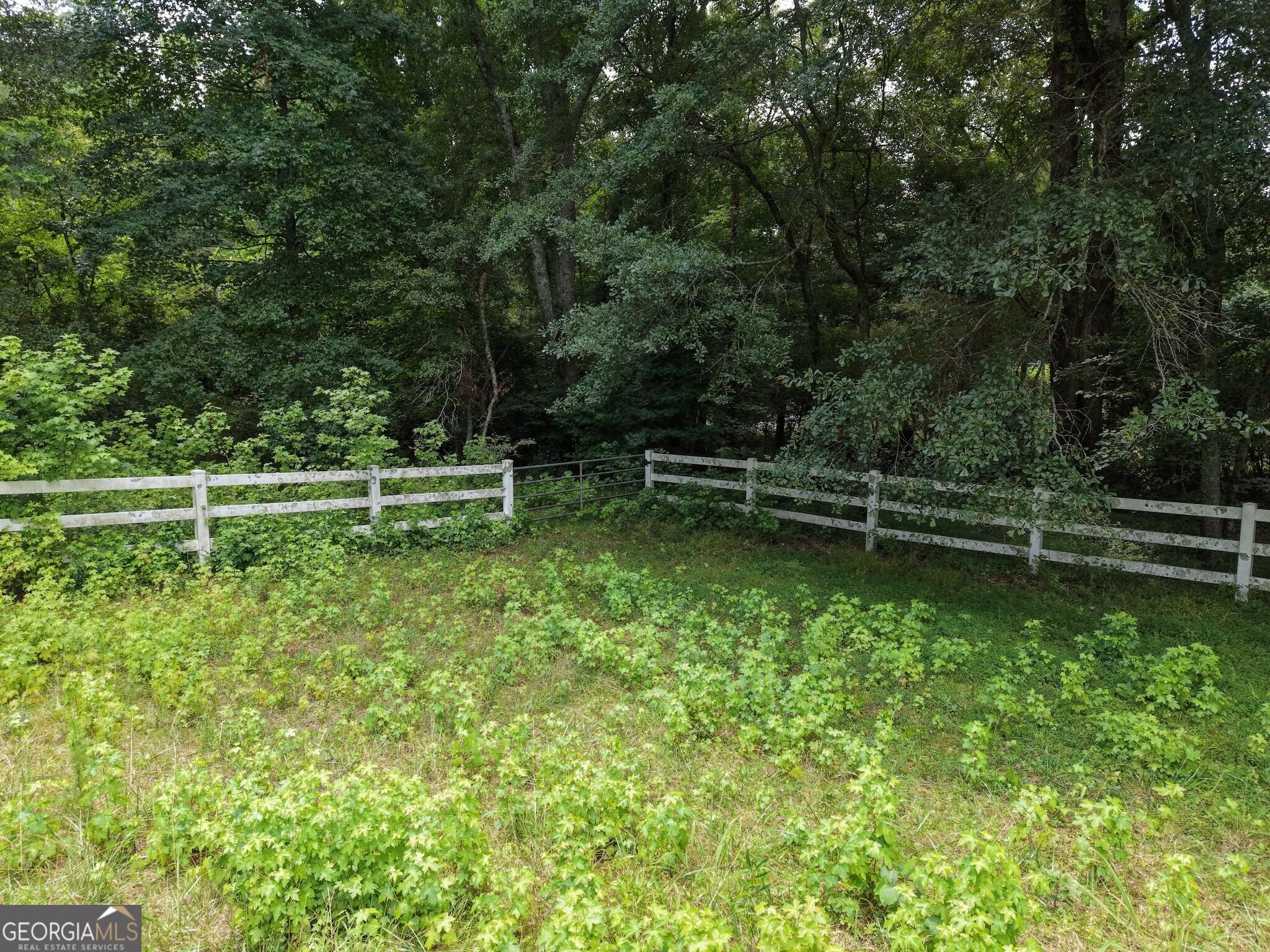 390 Edwards Road Property Photo 33
