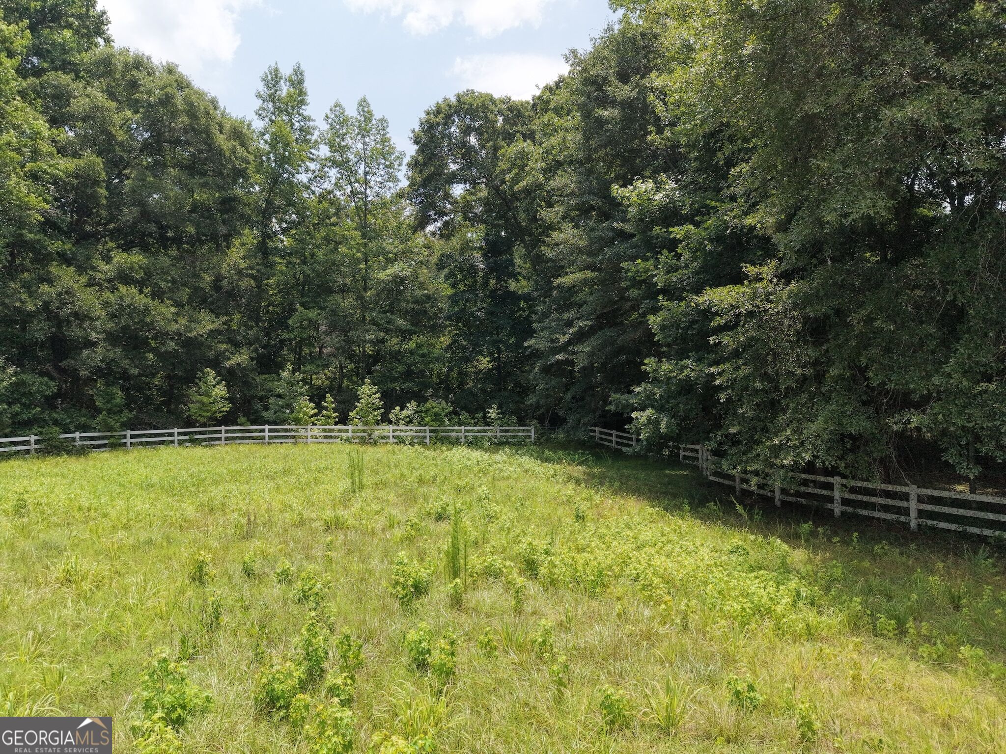 390 Edwards Road Property Photo 34