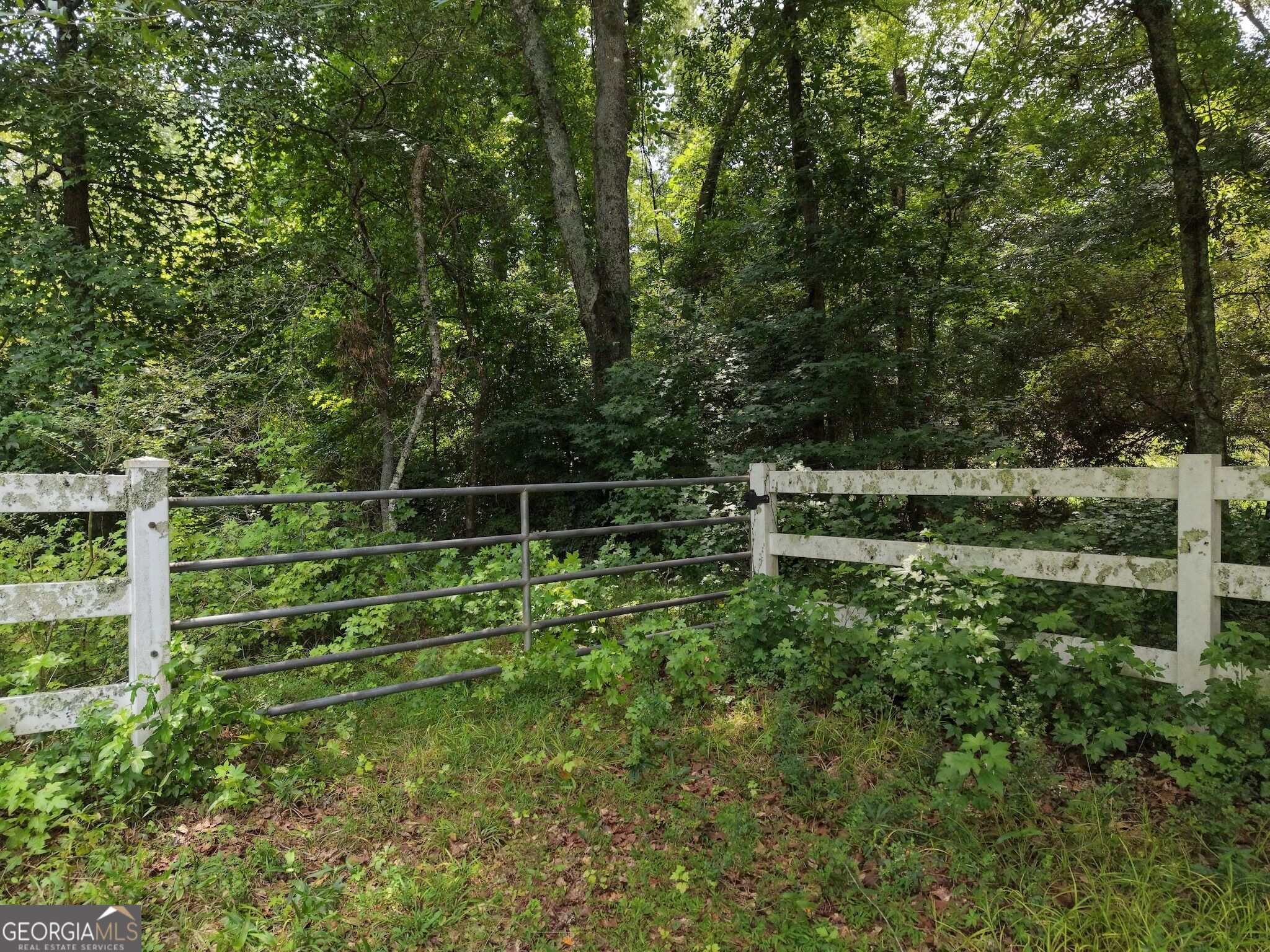 390 Edwards Road Property Photo 38